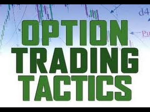 Options for Beginners