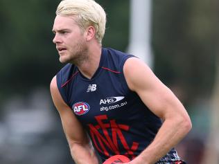 Melbourne training at Gosch's Paddock.