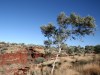 The Earth's crust is suddenly cleaved - one of the gorges in Karijini National Park.