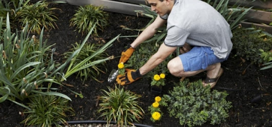 Garden cleanups - your checklist to get your yard into shape