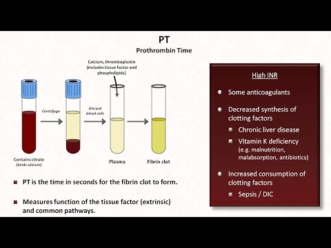 Hemostasis: Lesson 4 - Tests (INR, PTT, platelets, fibrinogen, D-dimer)