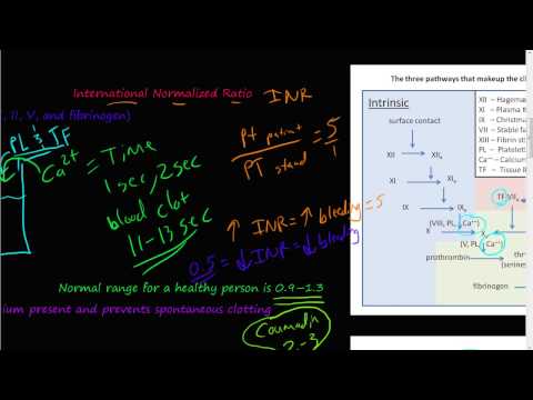 #52 - prothrombin time (PT), partial thromboplastin time (PTT), International normalized ratio (INR)