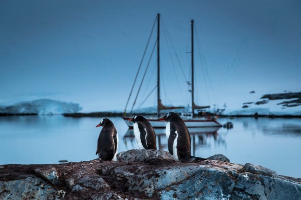 Each summer a handful of small yachts arrive in Antarctica and prepare to winter in over the following 6 months.