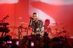 Zayn Malik is developing a TV series inspired by One Direction