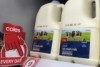 One dollar per litre milk for sale in Coles