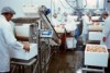 Prawn processing