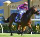 Regan Bayliss riding Pilote D'Essai wins the Ballarat Cup at Ballarat Racecourse on Saturday.