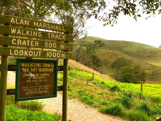 The walking track at Mt Noorat. Picture: Michael Leo