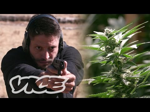 The Veterans Who Protect Colorado's Legal Weed Industry