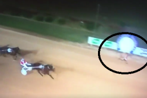 Not even close: A track invader beats the horses across the line.