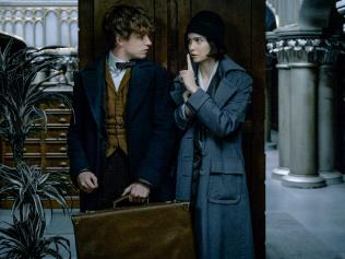 KATHERINE WATERSTON as Porpentina Goldstein and EDDIE REDMAYNE as Newt Scamander in a scene from Warner Bros. Pictures' fantasy adventure film FANTASTIC BEASTS AND WHERE TO FIND THEM