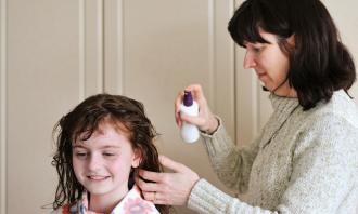 Head lice facts