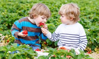 Prebiotics and kids' health