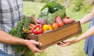 Organic food is not healthier