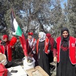 PFLP organizes volunteer days for Gaza olive harvest