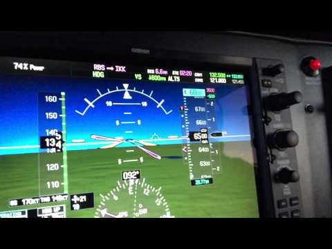 Cirrus Perspective - Flight Director