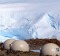 White Desert camp, Antarctica.