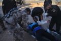 Iraqi special forces soldiers   treat a civilian man injured by a mortar shell at a field hospital in Mosul's al-Samah ...