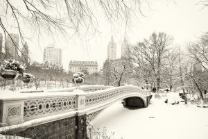 A snowbound Central Park, “hushed and still and quite empty”