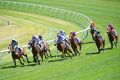 Luke Nolen on Despatch (second from left) turns into the home straight before winning the Magic Millions Clockwise ...