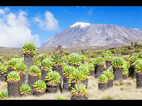 Mount Kilimanjaro, Tanzania 2016 (HD 1080p)