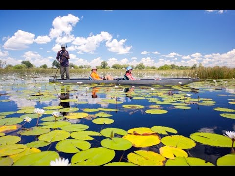 Trip to Kenya / Tanzania / Zimbabwe 2016 (HD 1080p)