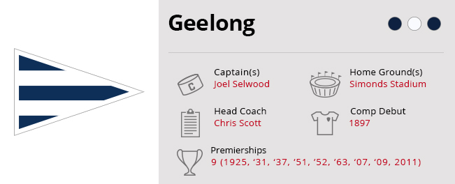 Geelong Static Stats Img