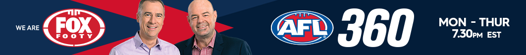 AFL -360 Promo Banner - (XL)