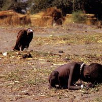 Vulture Stalking a Child