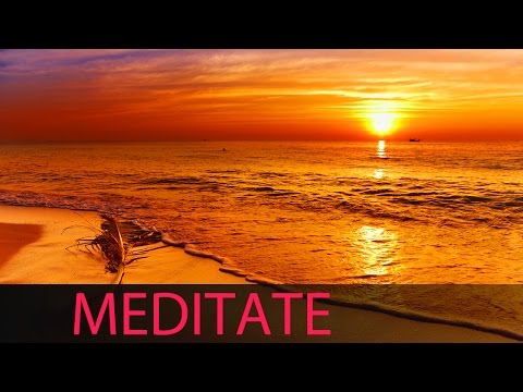 8 Hour Shamanic Meditation: Tibetan Music, Binaural Brainwaves, Healing Music, Chakra Cleanse  ☯334