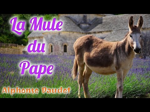 Livre audio : La Mule du Pape, Alphonse Daudet