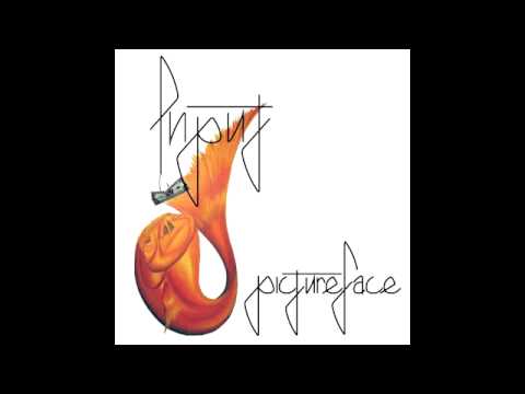 Input -  Pictureface 2008 (full album)