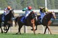 Brad Rawiller riding Junoob (red cap) defeats Chris Symons riding Sonntag in the 2015 Ballarat Cup. This year's edition ...