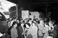 Italian migrants arrive in Sydney in 1950.