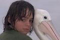 Much-loved film: Greg Rowe and pelican in <i>Storm Boy</i>.