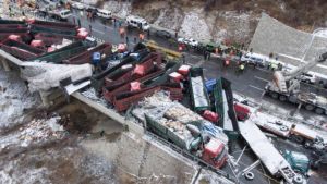 The mass pile-up on a Chinese highway left 17 people dead. 