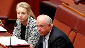 Senators Bridget McKenzie and John Williams crossed the floor and effectively voted for the gun.