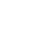 Lock icon