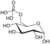 Glucose-6-Phosphate.svg