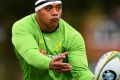 Raring to go: Prospective Wallabies starter Allan Alaalatoa.