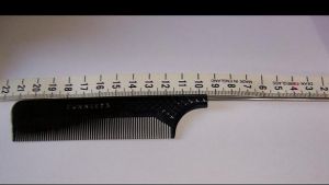 A hairdresser's tail comb found at the scene of the Portland double murder.