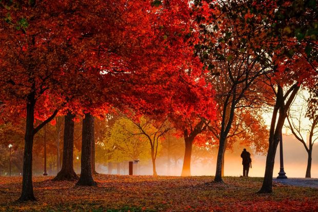 A photographer stops to capture the early morning ground fog on the National Mall in Washington.