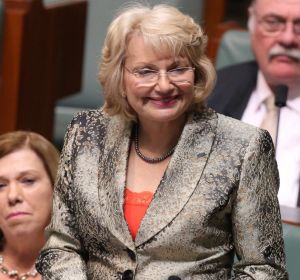 Former Coalition MP Dr Sharman Stone retired from the House of Representatives this year after deciding not to contest ...