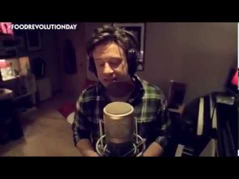 Jamie Oliver   Food Revolution Day song