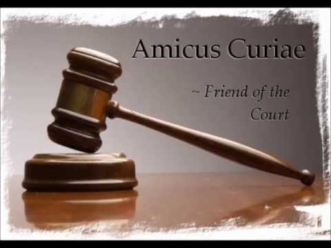 amicus curiae