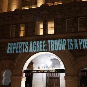 'Experts Agree: Trump Is A Pig' Projected On Trump Hotel