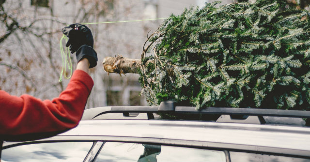 D.C. Company Will Begin Delivering Christmas Trees On Black Friday 