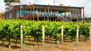 Jack Rabbit Vineyard on the Bellarine Peninsula.