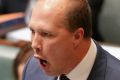 Minister for Immigration and Border Protection Peter Dutton during question time on Wednesday.