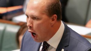 Minister for Immigration and Border Protection Peter Dutton during question time on Wednesday.